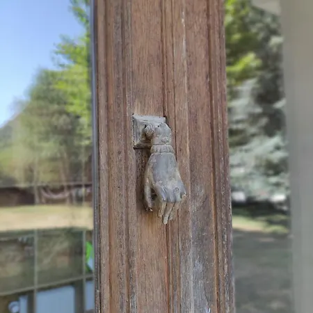 Buis 게스트하우스